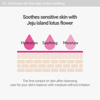 Thumbnail for [Rovectin] CICA Care Purifying Toner - Soothing Facial Toner for Sensitive and Irritated Skin with Houttuynia Cordata Extract and Madecassoside (8.8 Fl. oz)