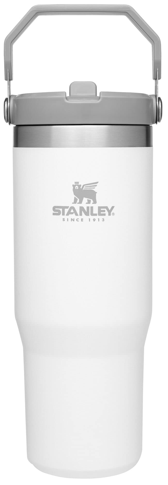 Stanley IceFlow Flip Straw Tumbler with Handle 30 oz | Twist On Lid and Flip Up Straw | Leak Resistant Water Bottle | Insulated Stainless Steel |BPA-Free | Polar