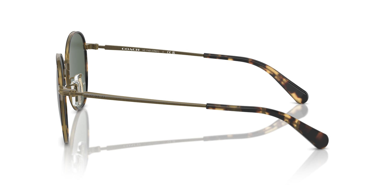 COACH Men's HC7163 Round Sunglasses, Antique Gold/Tokyo Tortoise/Green Solid, 52 mm