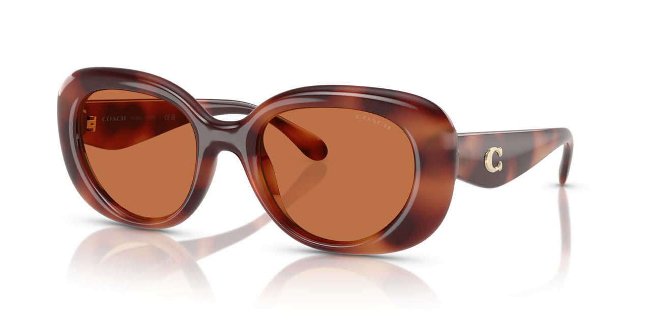 COACH Women's HC8391U Sculpted C Hardware Universal Fit Oval Sunglasses, Caramel Tortoise/Brown Solid, 53 mm
