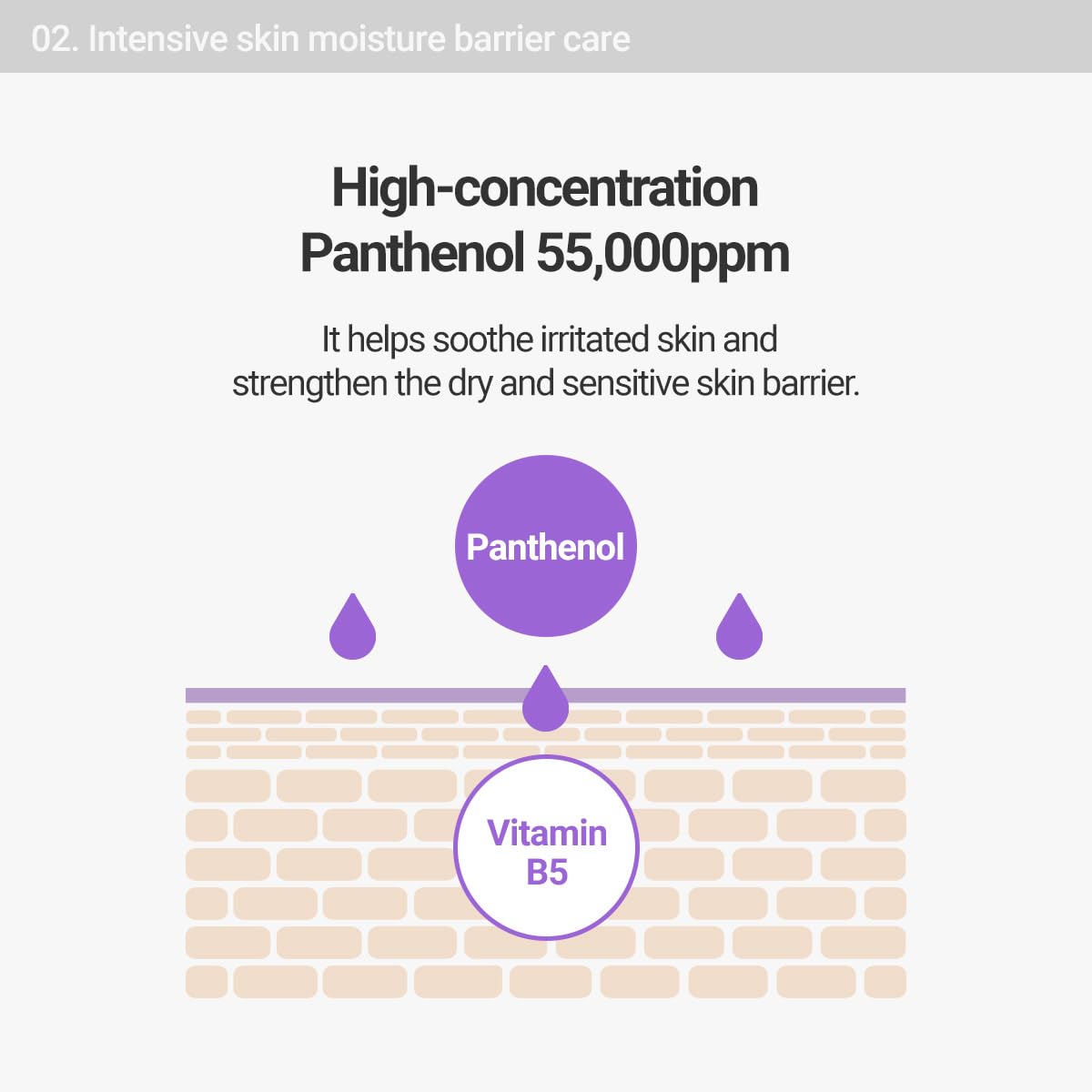 ROVECTIN Barrier Repair Moisturizing Cream - Intense Panthenol Cream for Face and Body | Ceramide Lotion Moisturizer | Anti-Aging with Astaxanthin | Hypoallergenic, Vegan, Korean Skincare (6.1 fl oz)