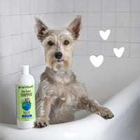 Thumbnail for earthbath, Shea Butter Shampoo - Dog Shampoo, Plant-Based, Cruelty-Free, Vegan, Gluten-Free, Non-GMO, Made in USA, Moisutre Repair & Dander Care - 16 Oz (1 Pack)
