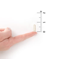 Thumbnail for Garden of Life Raw Calcium Supplement for Women and Men - Vitamin Code Made from Whole Foods with Magnesium, K2, Vitamin D3 and Vitamin C Plus Probiotics for Digestion, 60 Capsules