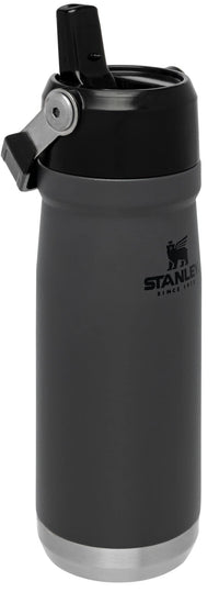 Thumbnail for Stanley IceFlow Flip Straw Water Bottle 22 oz | Built-In Straw for Travel and Sports | Lightweight and Leak Resistant | Insulated Stainless Steel | BPA-Free | Charcoal
