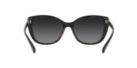 Thumbnail for Coach Sunglasses HC 8365 U 5764T3 Ch566 Black/Dark Tortoise Gr