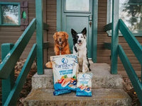 Thumbnail for Earthborn Holistics Unrefined Smoked Salmon with Ancient Grains & Superfoods Dry Dog Food, 4-lb Bag