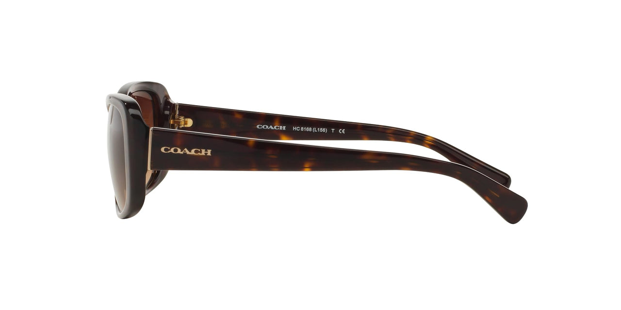 Coach HC8168 Sunglasses, Dark Tortoise/Brown Gradient, 56 mm