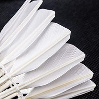 Thumbnail for Senston Badminton Shuttlecocks 6 Pack Sports Birdies Shuttlecock 6PCS for Outdoor Indoor Sports Activities