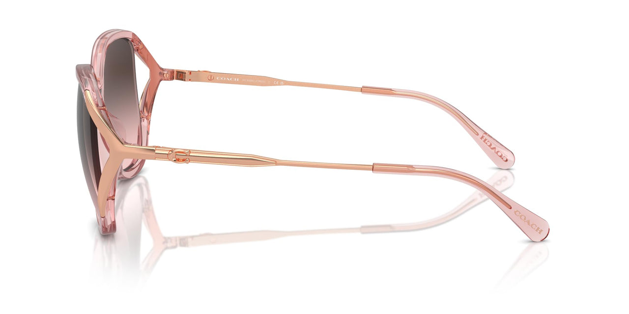 COACH Sunglasses HC 8396 U 566646 Cr620 Transparent Pink Grey Pi