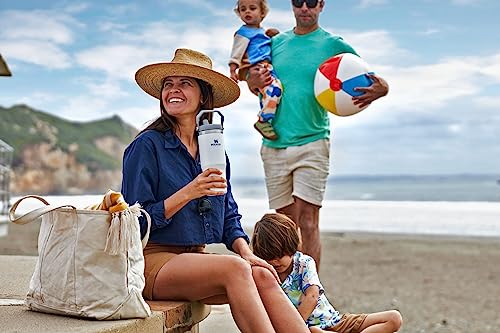 Stanley IceFlow Flip Straw Tumbler with Handle 30 oz | Twist On Lid and Flip Up Straw | Leak Resistant Water Bottle | Insulated Stainless Steel |BPA-Free | Polar