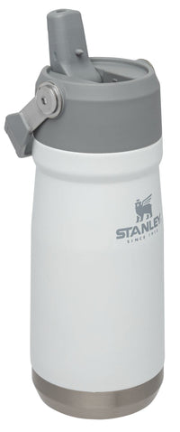 Thumbnail for Stanley IceFlow Flip Straw Water Bottle 17 oz | Built-In Straw for Travel and Sports | Lightweight and Leak Resistant | Insulated Stainless Steel | BPA-Free | Polar