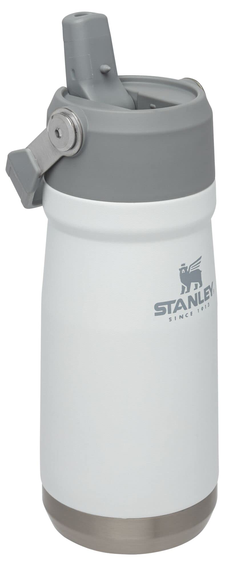 STANLEY IceFlow Flip Straw Water Bottle 17 oz | Built-In Straw for Travel and Sports | Lightweight and Leak Resistant | Insulated Stainless Steel | BPA-Free | Polar
