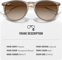 Thumbnail for Ray-Ban RB4171 ERIKA CLASSIC Phantos Shaped Non-Polarized Sunglasses for Women – Includes Official RAYBAN Eyewear Kit – Ideal Formal & Casual Wear Sunglasses – Brown Lens