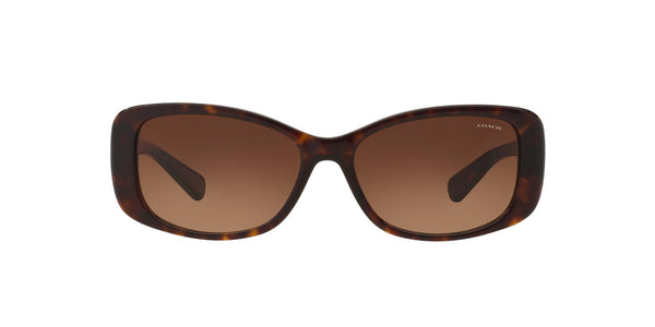 Coach HC8168 Sunglasses, Dark Tortoise/Brown Gradient, 56 mm
