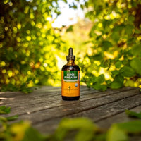 Thumbnail for Herb Pharm, Super Echinacea, 4 Ounce