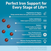 Thumbnail for 21st Century Slow Release Iron Tablets, 60 Count