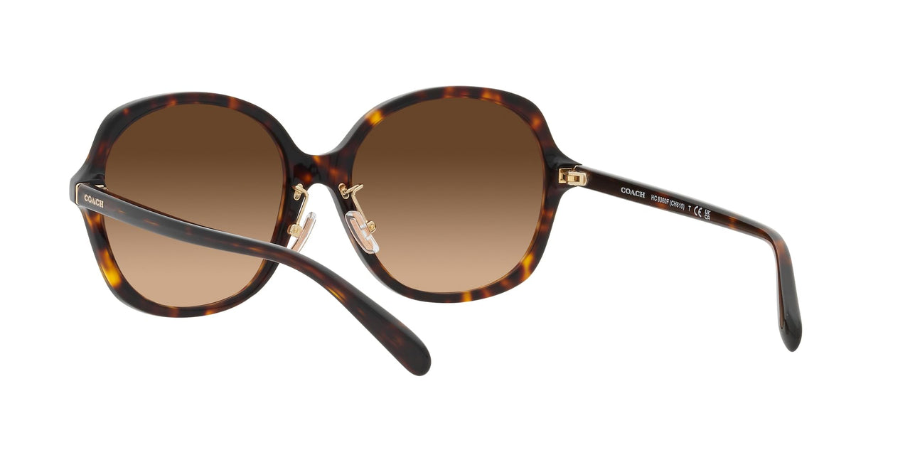 COACH HC8360F Low Bridge Fit Sunglasses, Dark Tortoise/Brown Gradient, 58 mm
