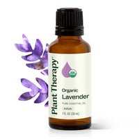 Thumbnail for Plant Therapy Organic Lavender Essential Oil 100% Pure, USDA Certified Organic, Undiluted, Natural Aromatherapy for Diffusion & Topical Use, For Skin, Hair, Relaxation, Premium Therapeutic Grade 30 mL