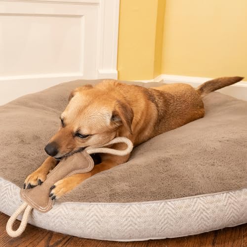 SPOT Dura-Fused Leather Bone Tug Dog Toy – Durable Real Leather & Jute Chew Toy with Double Rope Handles & Squeaker, For Moderate Chewers, 18in
