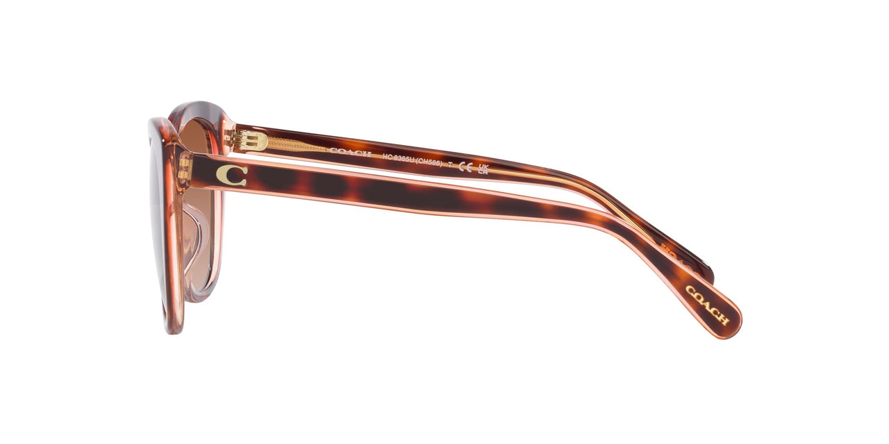 Coach HC8365U Universal Fit Sunglasses, Tortoise/Transparent Pink/Brown Pink Gradient, 55 mm