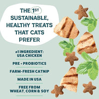Thumbnail for Shameless Pets Crunchy Cat Snacks & Treats – Healthy Cat Treats for Indoor Cats & Kittens with Catnip, Real Chicken & Digestive Support, Catnip N Chill (2.5 oz)
