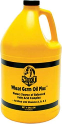 Thumbnail for RICHDEL Wheat Germ Oil Plus VIT A-D-E