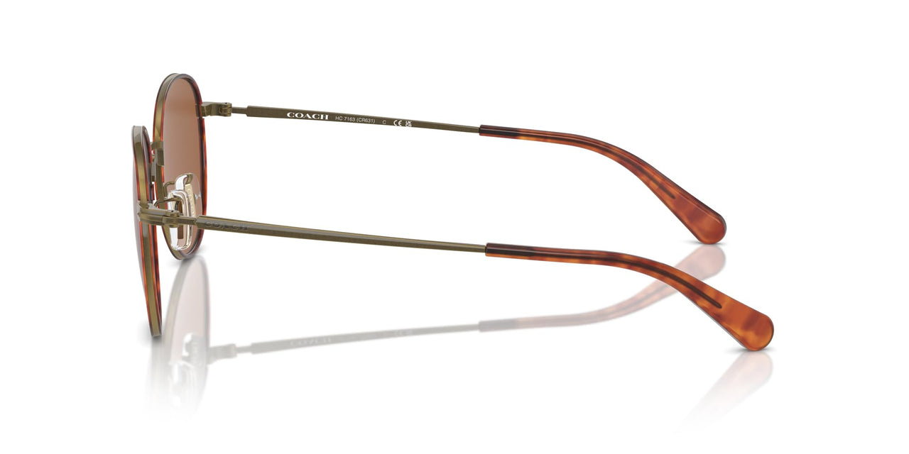 COACH HC7163 Sunglasses, Antique Gold/Amber Tortoise/Amber Solid, 52 mm