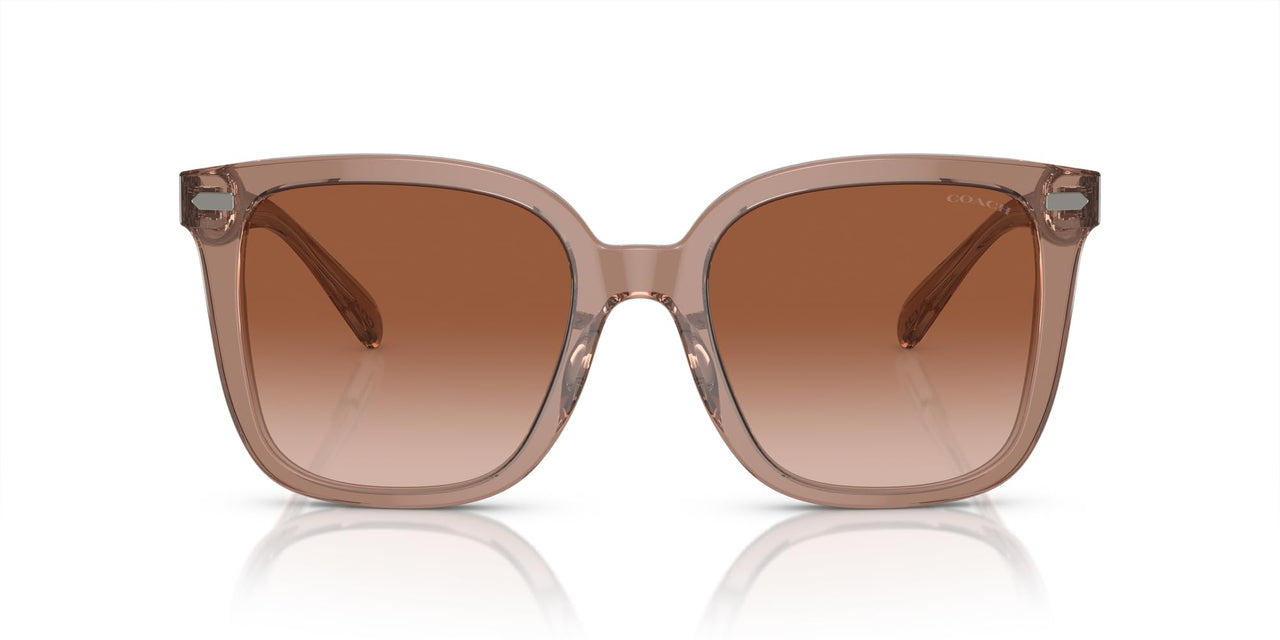 COACH Sunglasses HC 8381 F 577913 Cl919 Transparent Brown/Grey