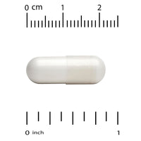 Thumbnail for California Gold Nutrition Akkermansia 30B, 60 Veggie Capsules