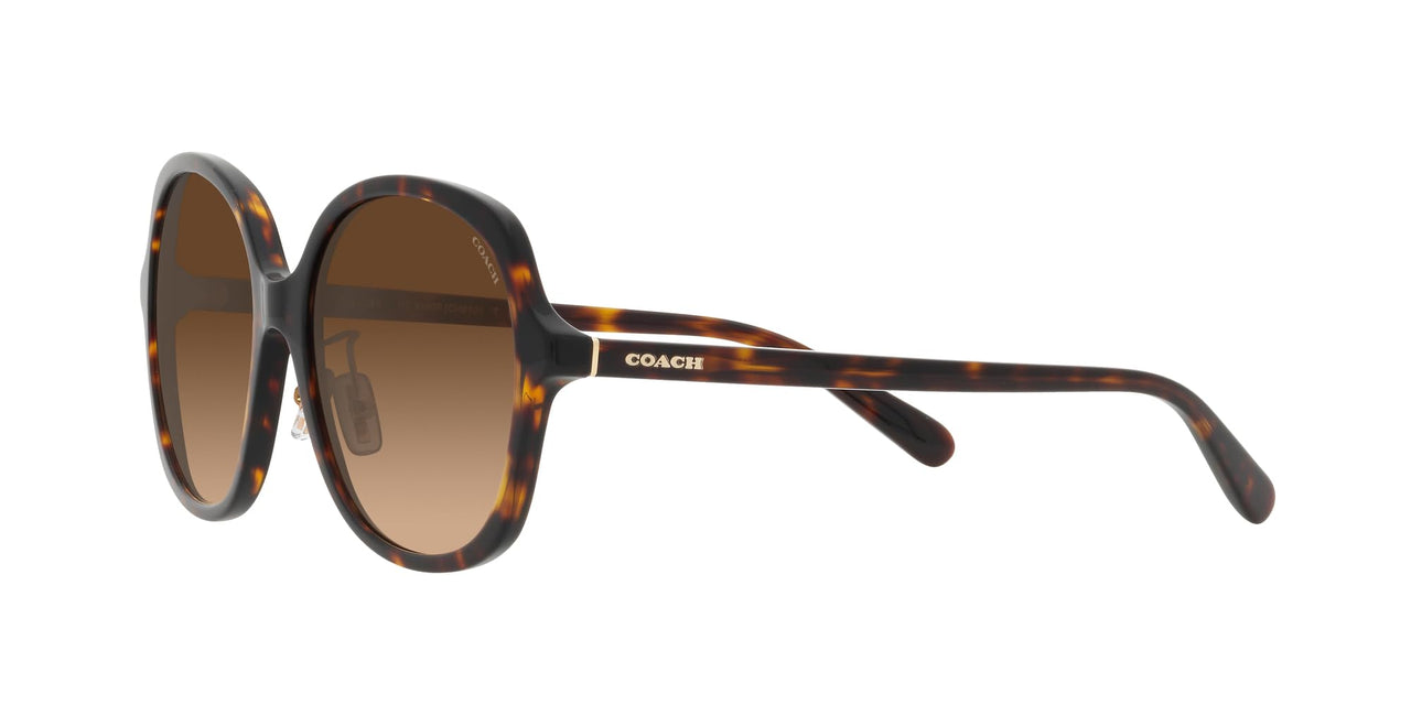 COACH HC8360F Low Bridge Fit Sunglasses, Dark Tortoise/Brown Gradient, 58 mm