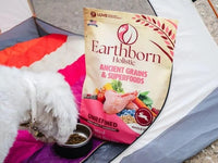 Thumbnail for Earthborn Holistics Unrefined Roasted Rabbit with Ancient Grains & Superfoods Dry Dog Food, 4-lb Bag