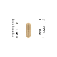Thumbnail for Nature's Way Nature's Way Burdock Root, 950 Mg Per Serving, 100 Vegan Caps (packaging May Vary), 100 Count