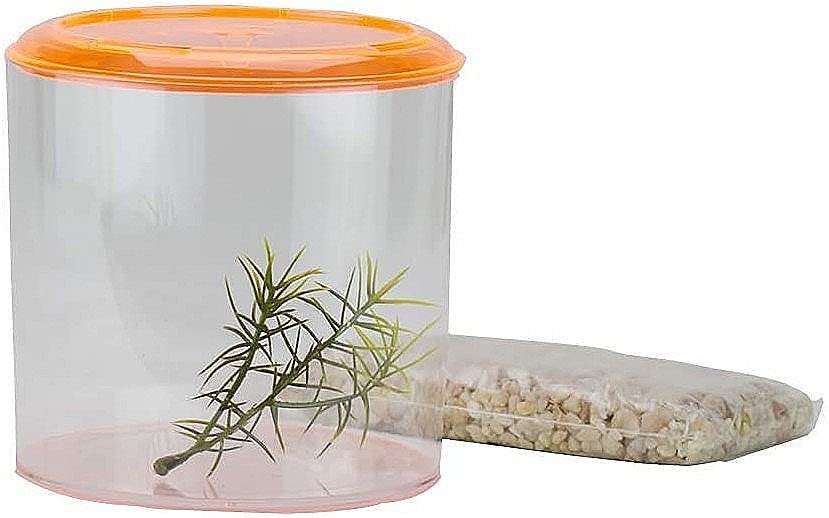 Lee's Round Betta Keeper