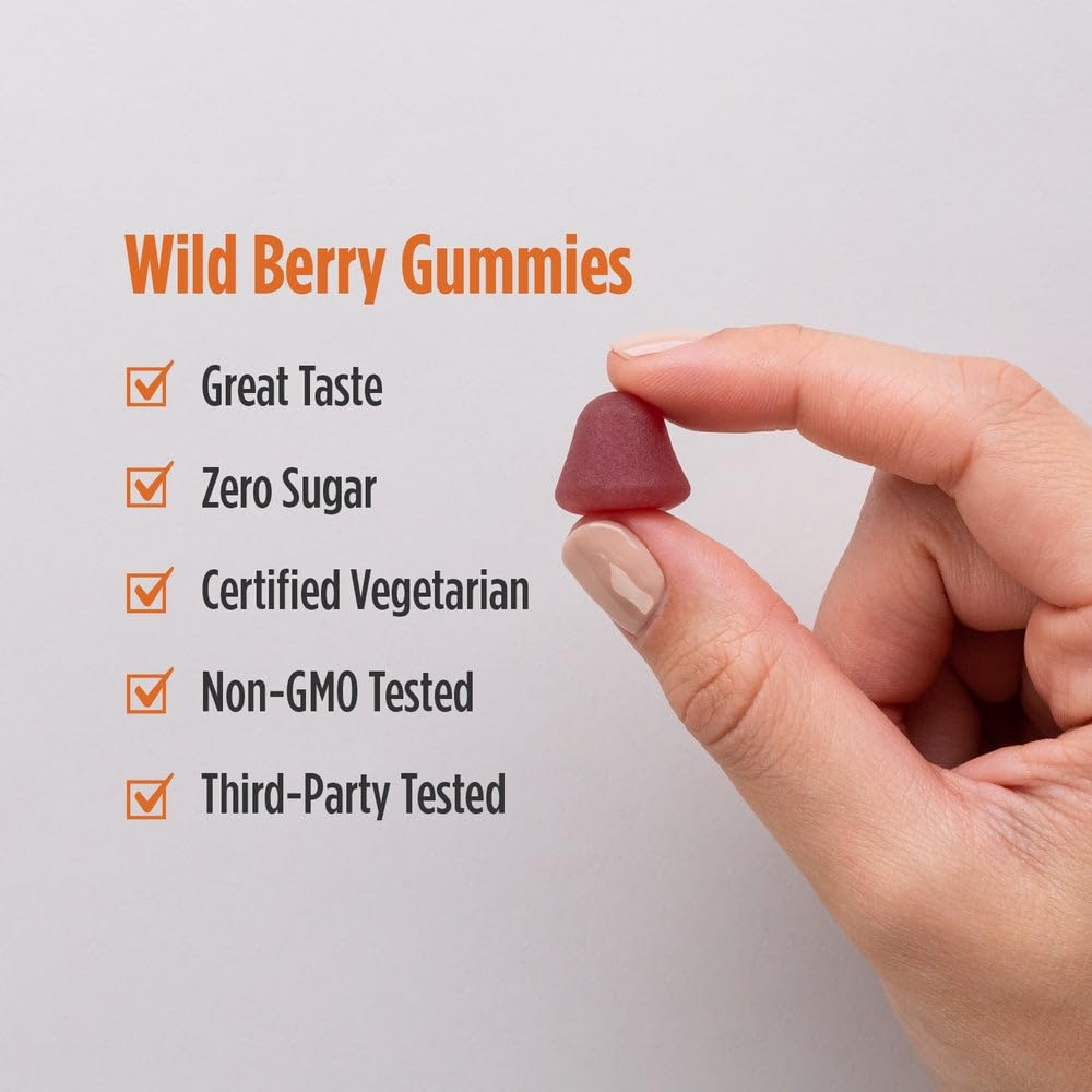 Nordic Naturals Zero Sugar Vitamin D3 Gummies, Wild Berry - 60 Gummies - 1000 IU Vitamin D3 - Great Taste - Healthy Bones, Mood & Immune System Function - Non-GMO - 60 Servings