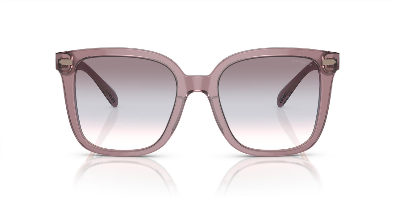 Coach HC8381F Low Bridge Fit Sunglasses, Transparent Rose/Blush/Purple Blue Peach Gradient, 56 mm