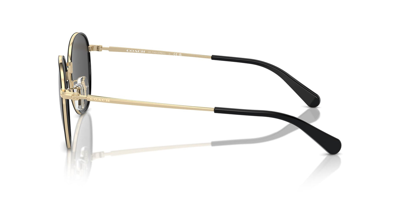 COACH Men's HC7163 Round Sunglasses, Shiny Light Gold/Black/Grey Solid, 52 mm