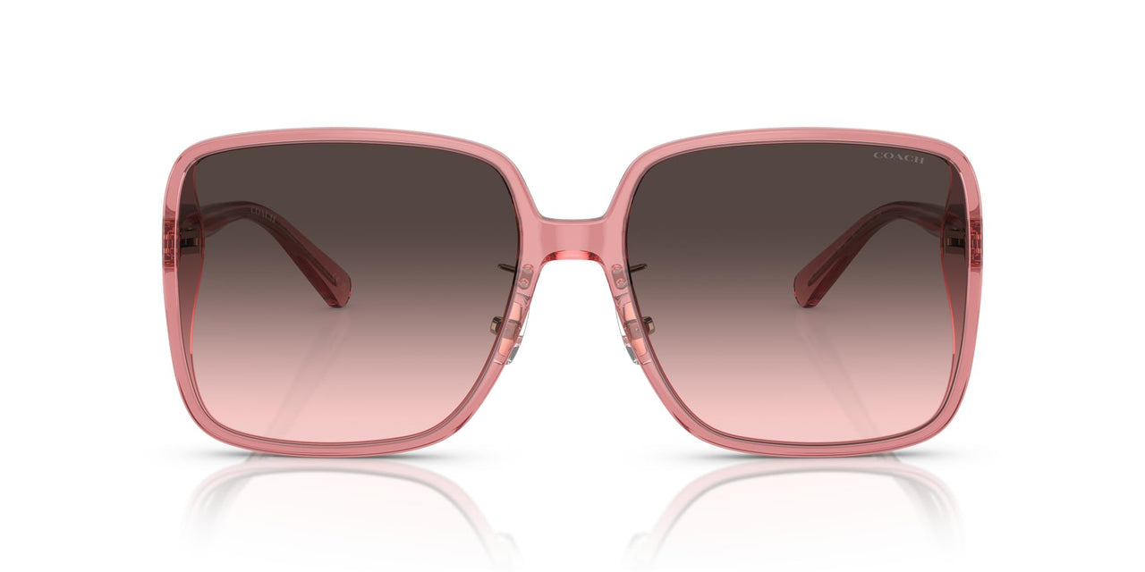 COACH Sunglasses HC 8368 D 580046 Ch572 Transparent Berry Grey P
