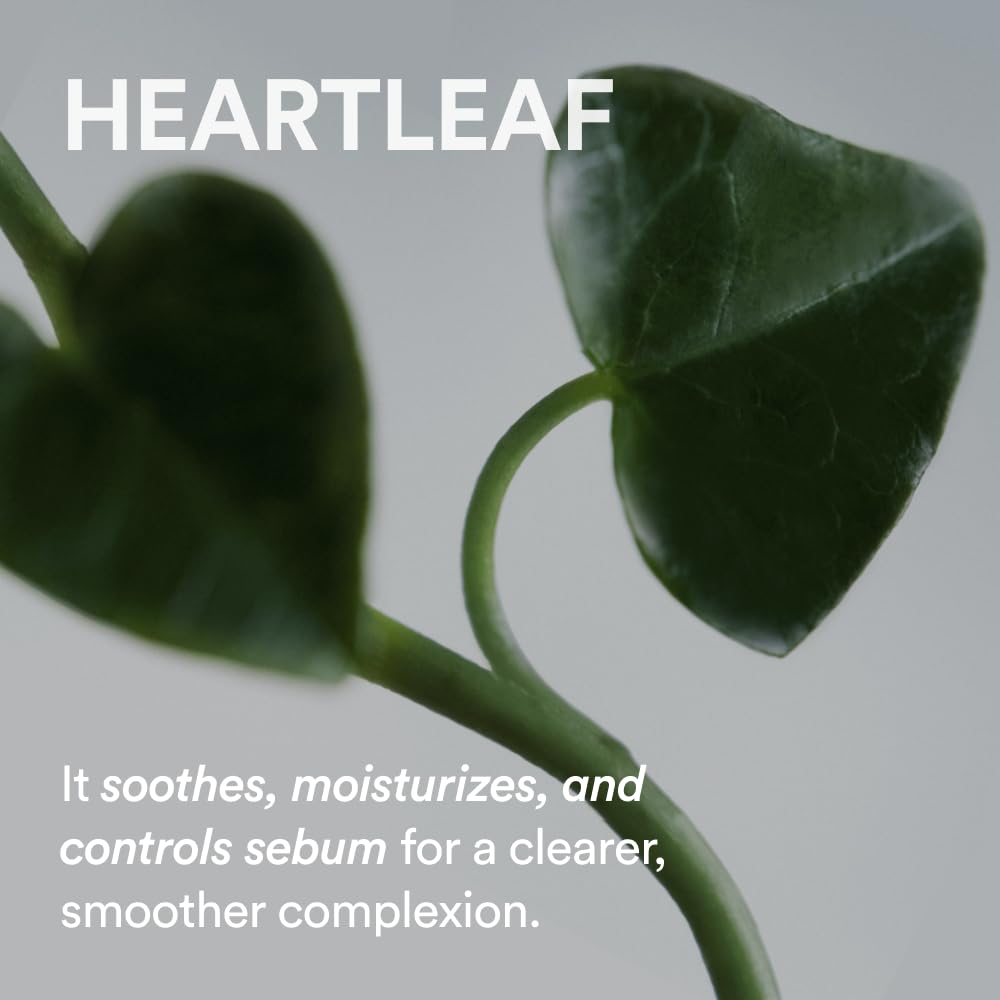 Abib Pore Cleansing Oil Heartleaf 6.76 fl oz / 200ml I Gentle for Sensitive Skin, Mild Cleanser, Blackheads, Pore Care, Double Korean Skincare