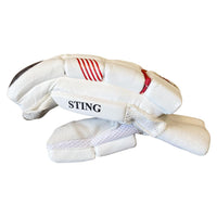 Thumbnail for Sting Cricket Batting Gloves Men Right Handed Multicolors