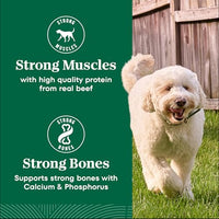 Thumbnail for Nutro Natural Choice Dry Dog Food, Adult Dog Food Dry Chicken and Brown Rice Recipe, 5 lbs.
