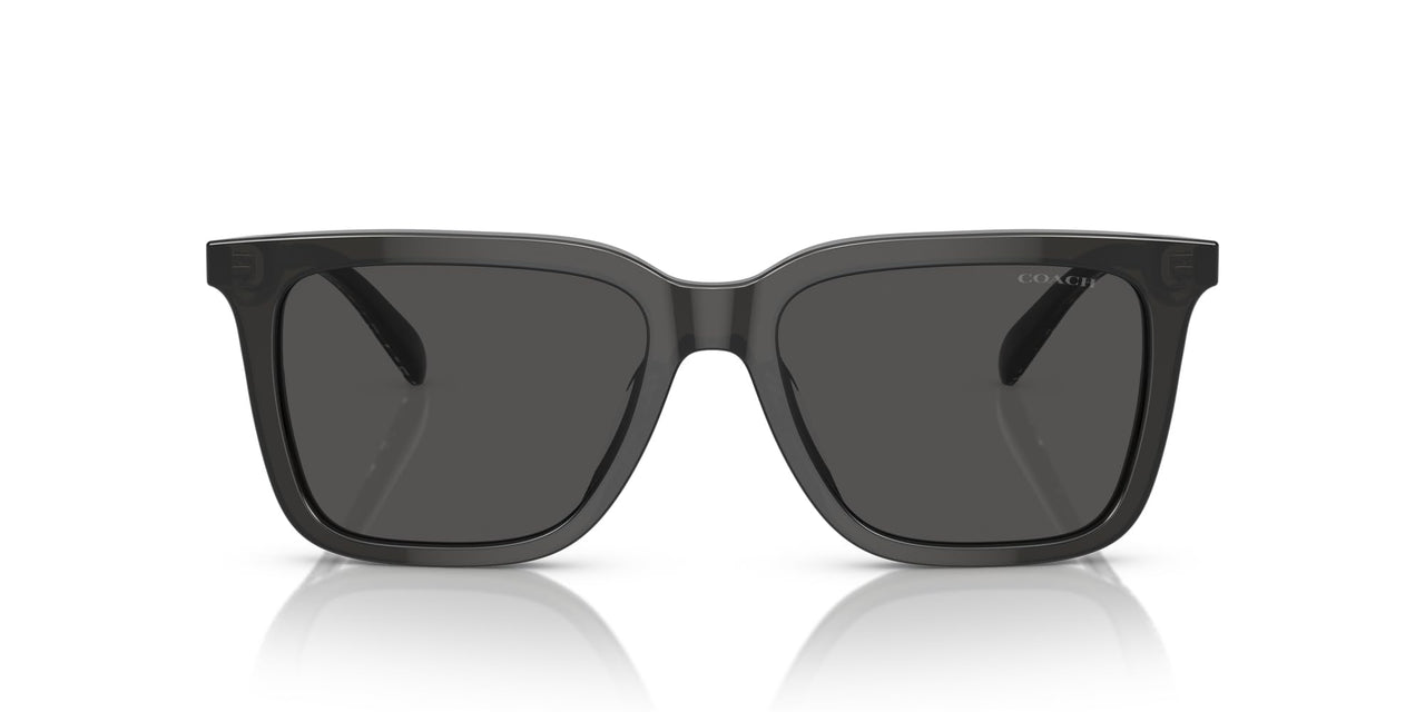 Coach HC8385U Universal Fit Sunglasses, Transparent Dark Grey/Grey Solid, 54 mm