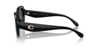 Thumbnail for COACH Sunglasses HC 8391 U 500287 Cr609 Black Grey Solid