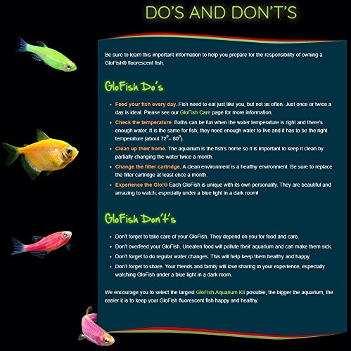 GloFish Aquarium Gravel, Pink/Green/Blue Mix, Complements GloFish Tanks, 5 Pounds