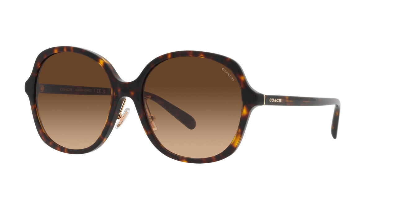 COACH HC8360F Low Bridge Fit Sunglasses, Dark Tortoise/Brown Gradient, 58 mm