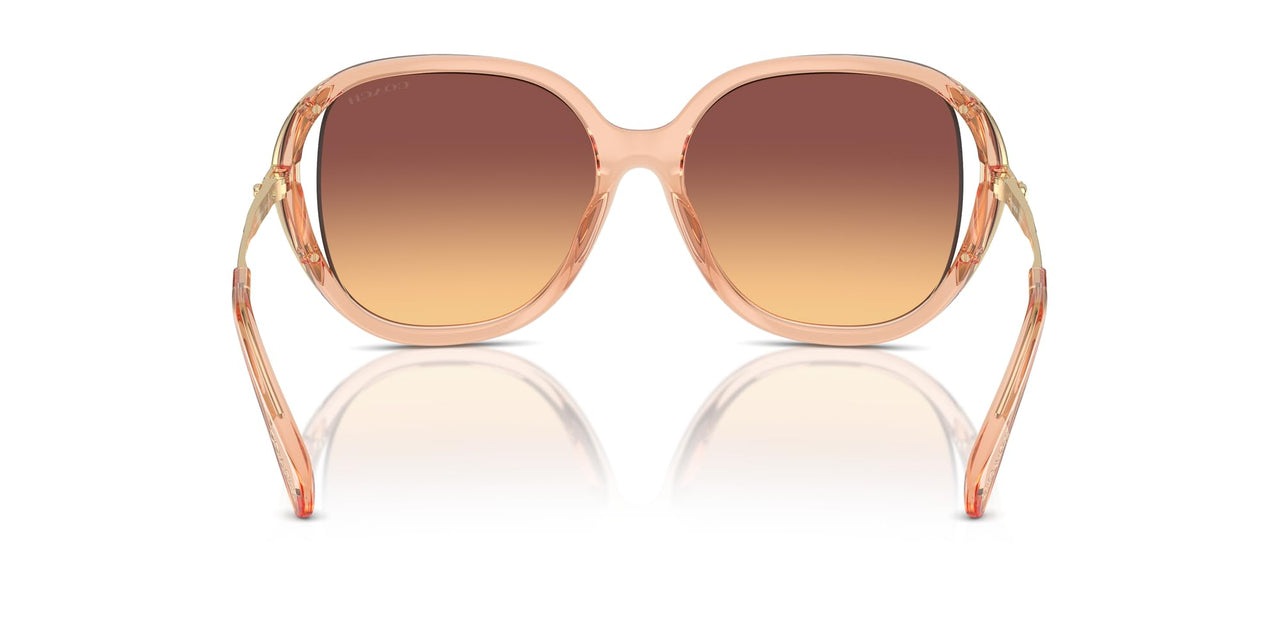 COACH Sunglasses HC 8396 U 556178 Cr620 Transparent Champagne Ma