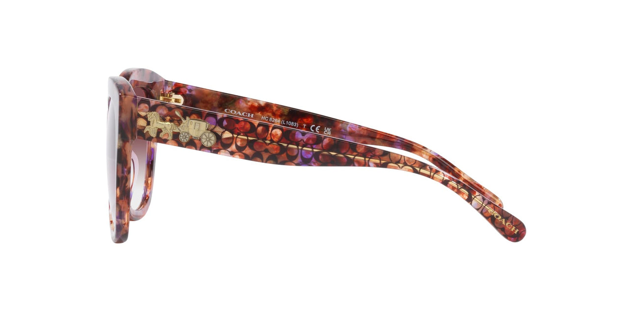 COACH Sunglasses HC 8264 57398H L1083 Petal Tortoise Purple Cl