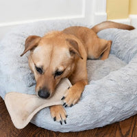 Thumbnail for SPOT Dura-Fused Leather Bone- Durable Dog Toy with Squeaker, Real Leather & Jute Fabric, Interactive Toy for Moderate & Aggressive Chewers, Medium & Large Dogs and Puppies, 9 inch