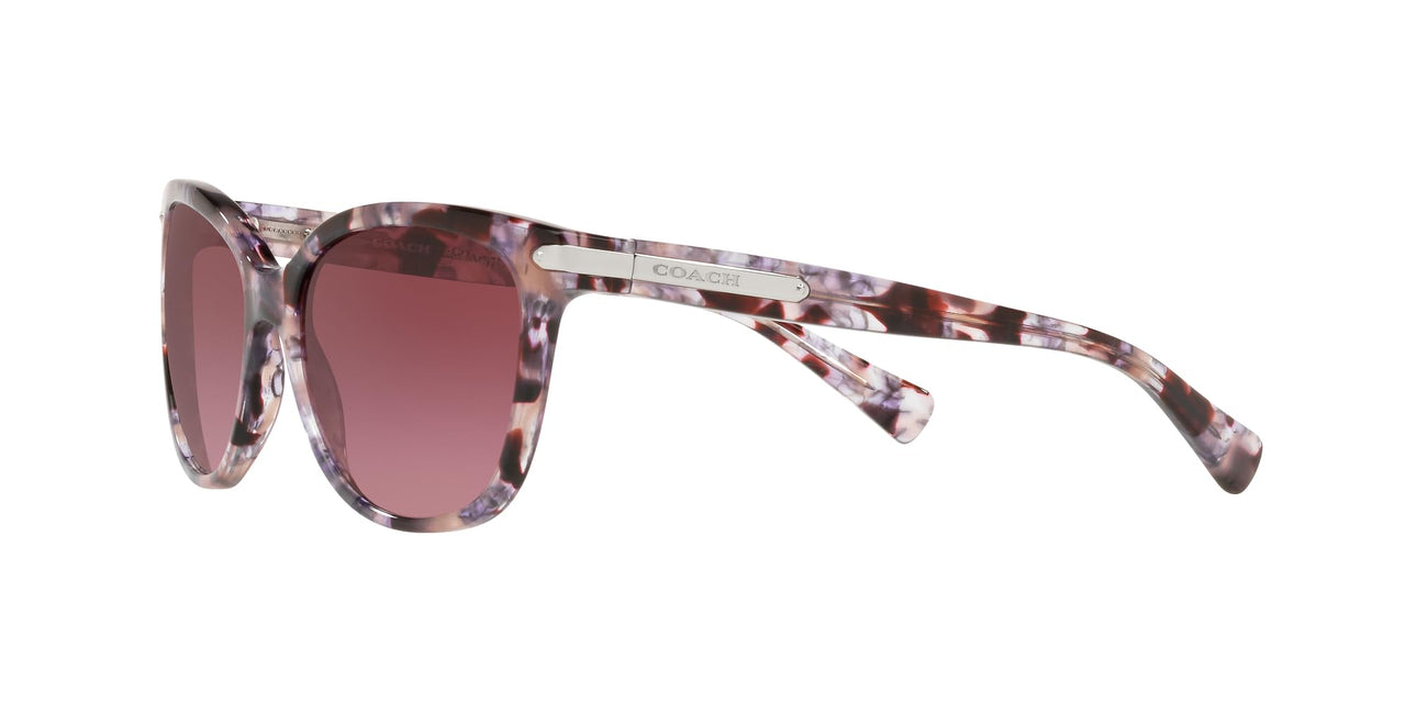 COACH Sunglasses HC 8132 55488H L109 Purple Tortoise Burgundy
