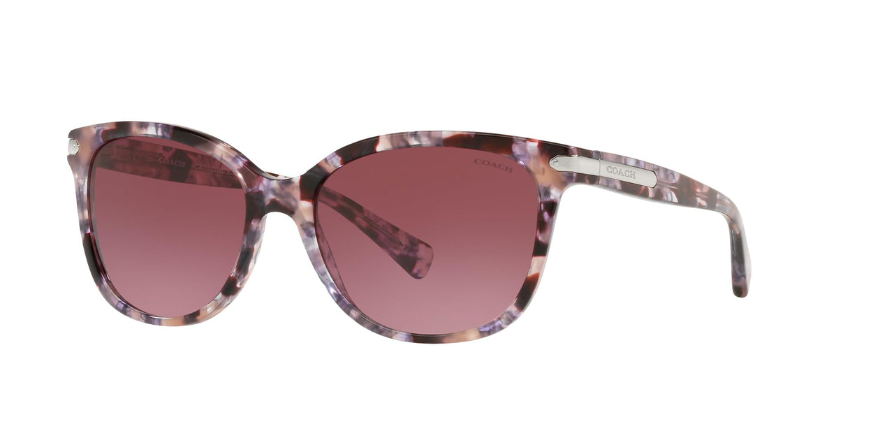 Coach HC8132 Sunglasses, Purple Tortoise/Burgundy Gradient, 57 mm