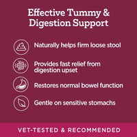 Thumbnail for Vetality Stop The Runs | Dog Anti Diarrhea Medicine | 6 Count Chewable | Chicken Flavor